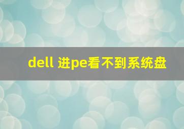 dell 进pe看不到系统盘